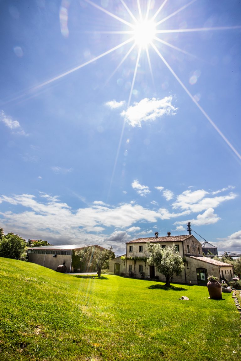 Spaccio Aziendale struttura in verticale con cantina - Azienda Agraria Guerrieri